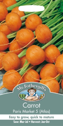 Carrot Paris Market 5 Atlas Seeds